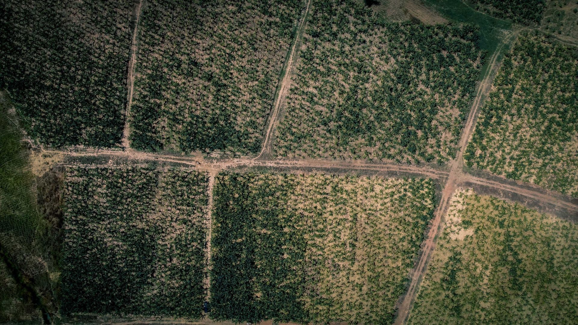 Aerial view of rural farmland and cropland in Nigeria